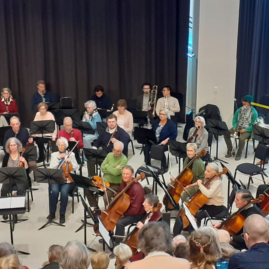 We zijn een amateurorkest in de regio Den Haag met ruim 35 muzikanten.